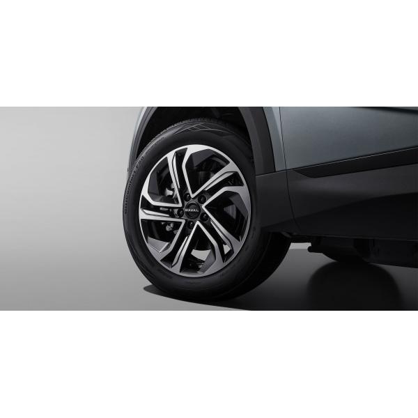 Haval Xiaolong китайский электрический внедорожник 5 местный PHEV внедорожник 2 скорости DHT