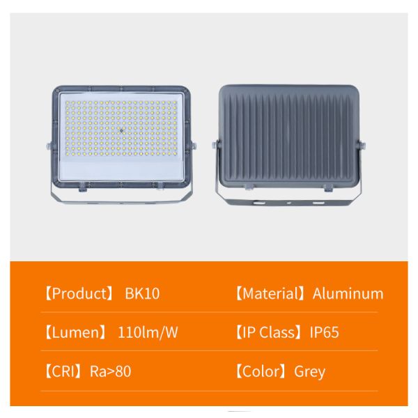 IP66 Waterproof Smart Aluminum Housing CCT Warm White LED Flood Light for Outdoor Use