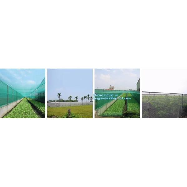 agriculture anti insect net on roll insect proof mesh for greenhouse,Greenhouse Anti Insect Netting /Agriculture Netting