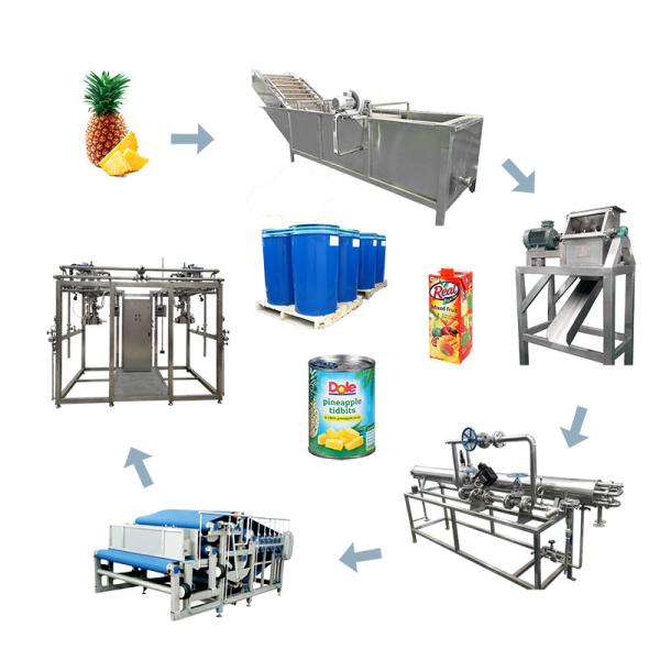 Industrial Pineapple Juice Production Line with SS 304/316 Food Standard and 1-20T/h Capacity Featuring Aseptic Filling Technology