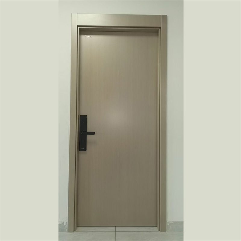 Customized Size Cleanroom Door Modern Steel Clean Door Popular Smart Door For Industrial Cleanrooms