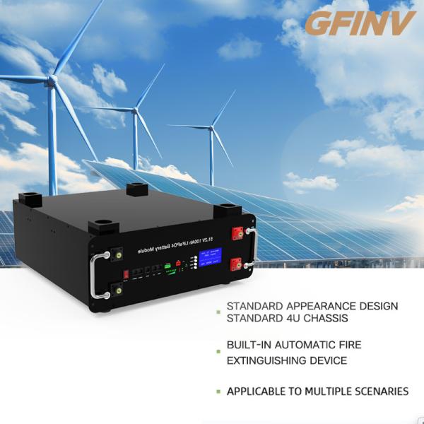 Standard Case 5KWH Rack Mount Solar Battery Lifepo4 Cabinet Type