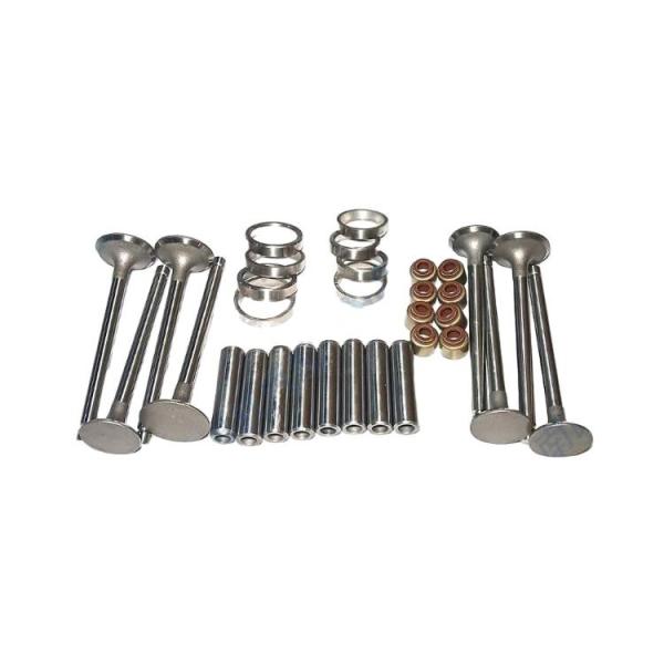 Auto Spare Parts  2408000300800-c Intake & Exhaust Valve Exhaust Engine Intake Valve for QC480