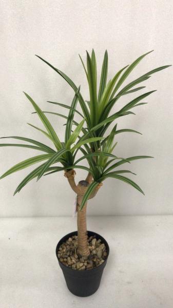 Flexible Glue Faux Dracaena Plant Black Plastic Pot 45 CM 62 CM 82 CM