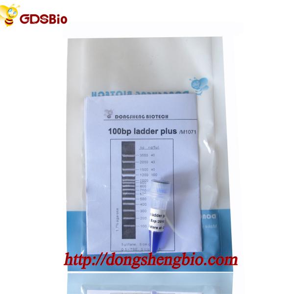escada 100bp mais o marcador M1071 do ADN (50μg) /M1072 (50μg×5)