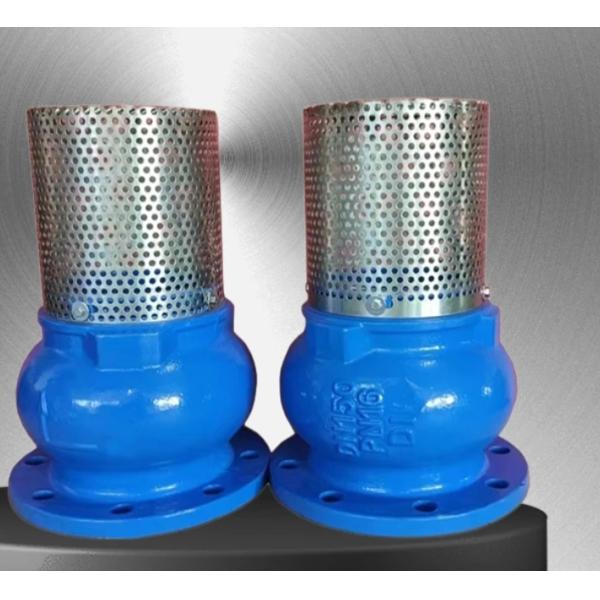 GGG50 H42X cast iron flanged foot valve manufacturer in China