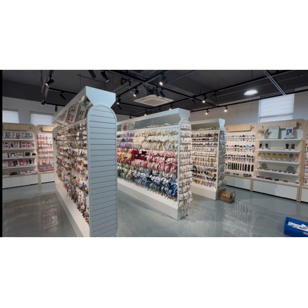 RICHSTAR (SHENZHEN) LIMITED