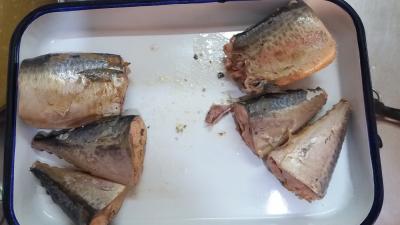 Wild Caught Canned Mackerel Healthy In Brine , Mackerel Fillets Canned For Salad