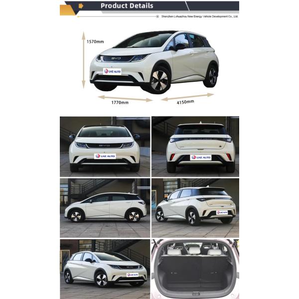 Dongfeng Geely Yutong Bus Prices Byd Haitun Dolphin Electric Vehicles for High Efficienc