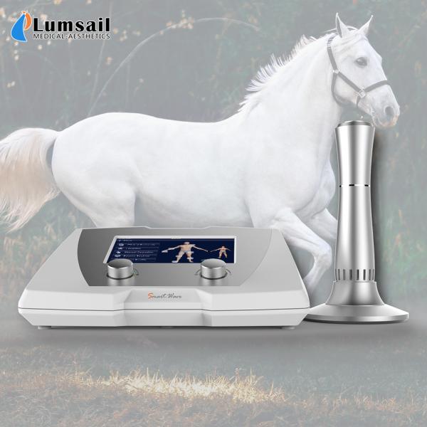High Power Equine Shockwave Machine High Energy Professional Pain Therapy Equipment