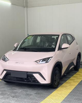 2025 BYD Pink 405km Flying Edition Seagull 5-door 4-seater New Energy Vehicle
