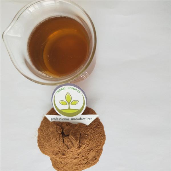 jujube fruit powder buy  best health benefits supplement products drink freeze dried blackcurrant powder