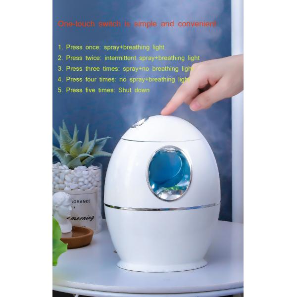 2.5L Air Disinfection Humidifier