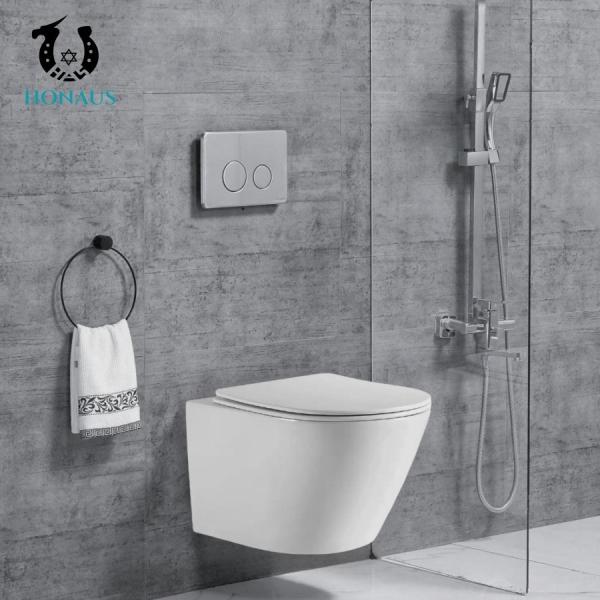 Customized Rimless Bathroom Toilet Bowl Washdown Wall Mounted Commode