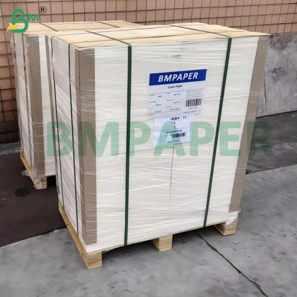 100lb 270gsm White Uncoated Smooth Bristol Board 22