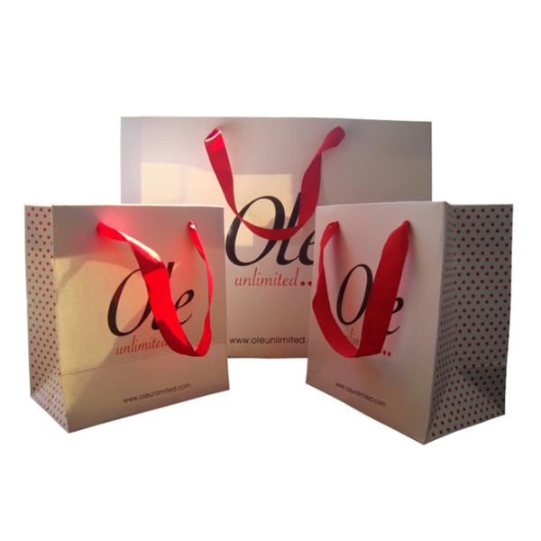 Custom Wedding Gift Paper Bags with Die-Cut Handles & Ribbon – Luxury Party & Event Packaging