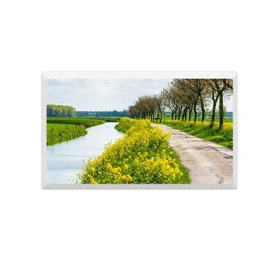 TM070RDHG34 TIANMA 7.0Inch Industrial Tft Lcd Module  800x480 Dots 50 Pins RGB Interface