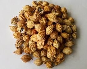 Fructus Amomi extract, Clove extract, Cuminum cyminum extract, 10:1, TCM Extract, Chinese manufacture, export, quality