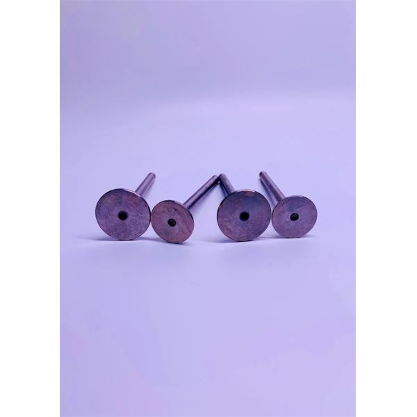4900337 4900338 Valve Inlet And Exhaust , Cummins A2300 Diesel Engine Kits