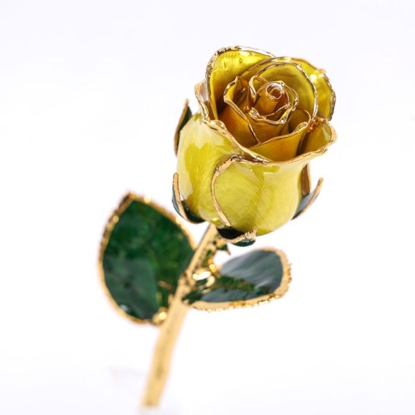 Pure Natural 24k Gold-plated Rose Crafts, Light Luxury Gift, Valentine's Day Atmosphere Gift, Wholesale