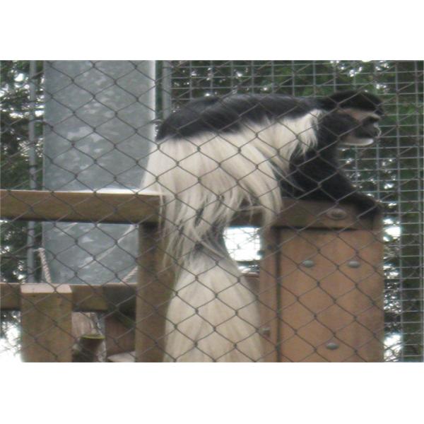 Подгонянное плетение Aviary нержавеющей стали 60x60mm угол 60 градусов Rustproof