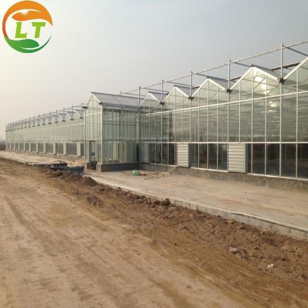 Long Life Multi-Span Film Greenhouse with Electric Control and Cooling Pad Fan System