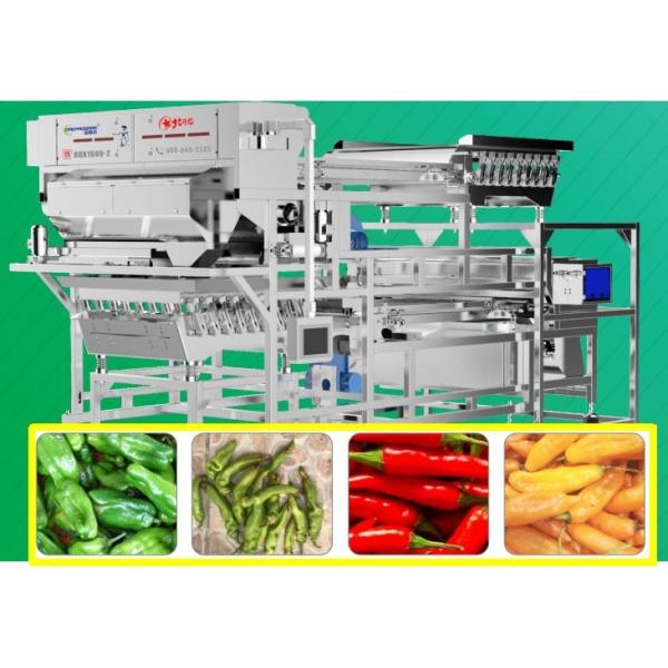 Тип свежие слои 500 пояса сортировщицы 2 цвета Chili - 800Kg/H с объективом Фени