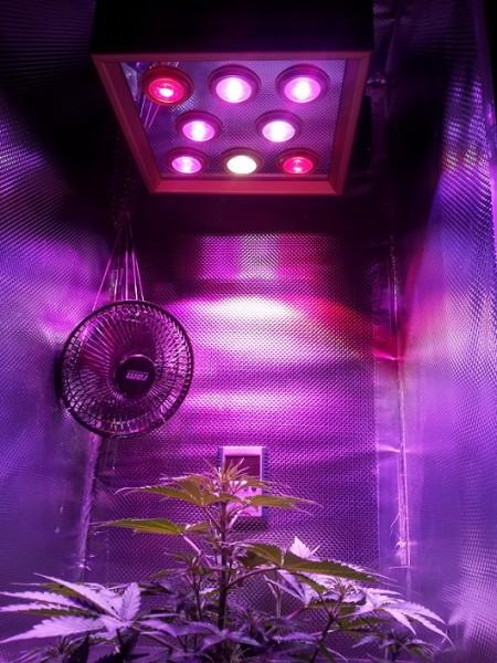 2014 new product rgb full spectrum plant led grow light