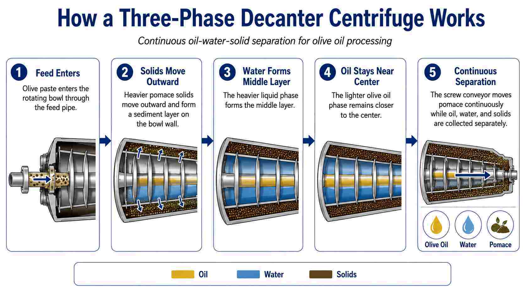 Three Phase Decanter Centrifuge for Olive Oil
