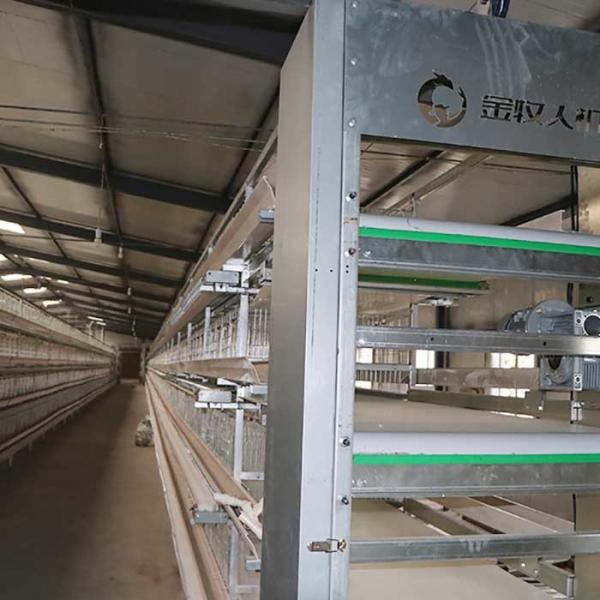 Клетка сельского хозяйства слоя яйца связанная проволокой удерживанием, научные