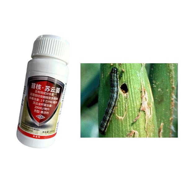 Liquid Fall Armyworm Pesticide with 10 million PIB/mL AcNPV + 2000IU/mL Bt for Organic Certified No Safety Interval Pest Control