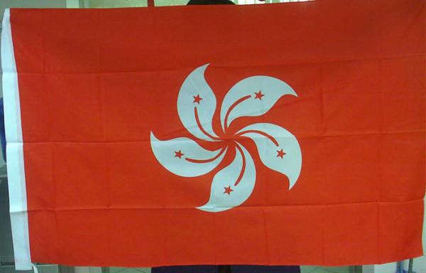 Full Color Printing Custom Polyester Flags , National Team Flags And Banners
