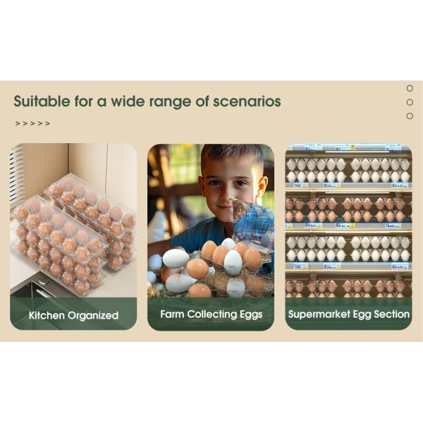 Clear Plastic Egg Cartons - Clear Containers With Date Labels - Bulk Egg Storage Set - Reusable Storage Containers - 12-Count, Pack Of 48