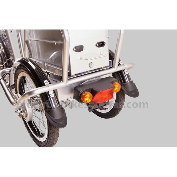 25km/H Pedal Assist Electric Trike 48V 350W Brushless Motor