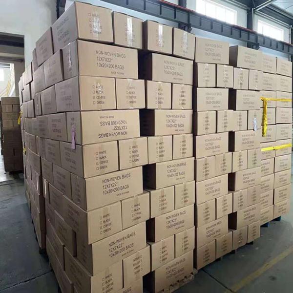 Disposable PP Non-Woven Beard Cover 45x20cm 100pcs Pack