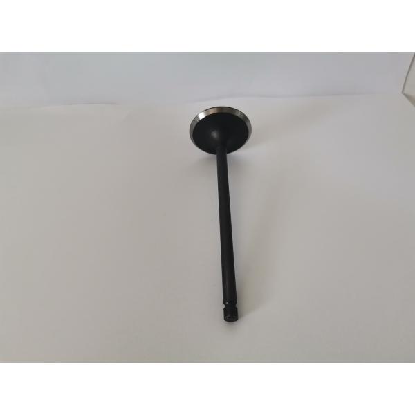 Automotive Engine Intake Valves For Ford Ecosport / Mondeo 2.0l 16v 3094ac