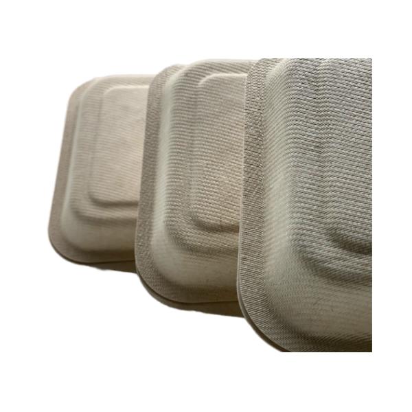 Biodegradable 7 ×5 Inch Bagasse Clamshell Containers 20g