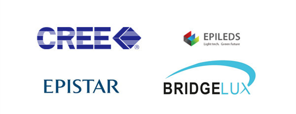 China Factory Epistar Bridgelux Chips 30w COB High Power LED Light Source