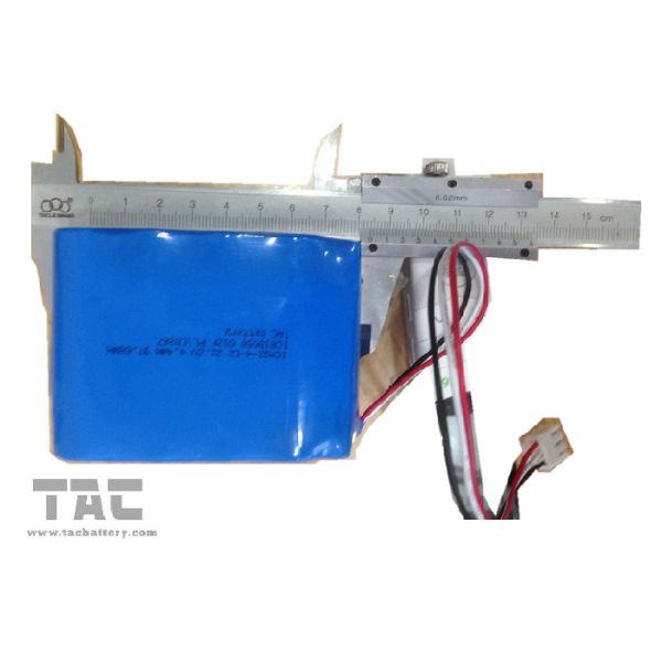 ICM22-4-E2 ICR18650  6S2P 22.2V 4400mAh Li-Ion Rechargeable Battery Pack For Loudspeakers system