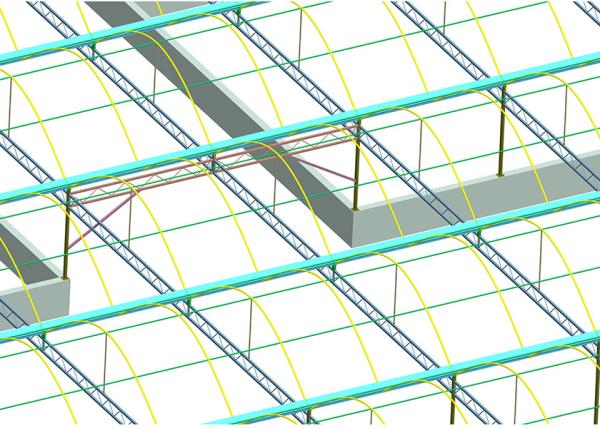 High Strength Hydroponic Clear Umbrella Greenhouse Strong Poly Tunnel