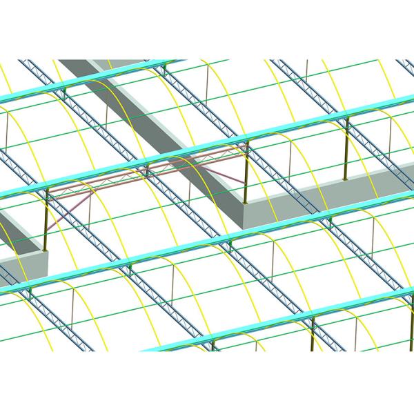 High Strength Hydroponic Clear Umbrella Greenhouse Strong Poly Tunnel