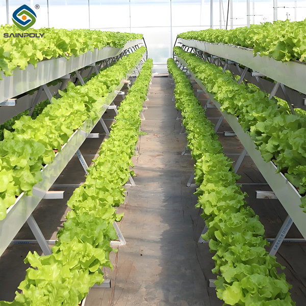 ISO Certification Commercial Hydroponic Greenhouse For Agriculture Anti Corrosion