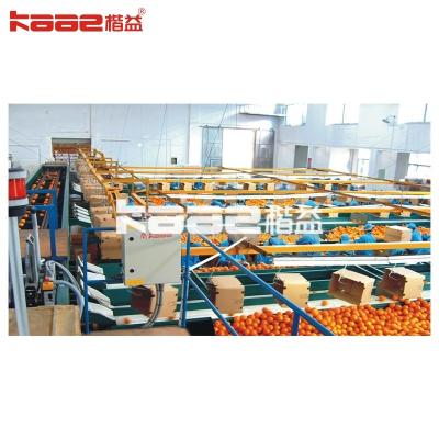 Automatic Photoelectric Fruit Sorting System Equipment For Grading Of Fruits And Vegetables