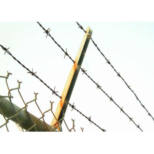 Поле датчика 12*14 ограждая гальванизированную стальную колючую проволоку 50kg/Roll Q235