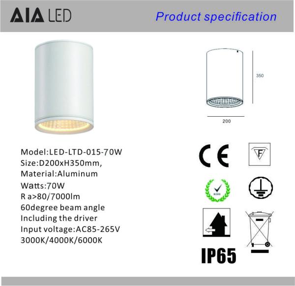 IP65 waterproof surface mounted DALI downlight 70W 0-10V dimmable exterior led down light &exterior downlight