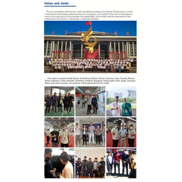 Свинцовое винтовое соединение с расширенным круглым орехом DIN6334 с простым отделением 8.8/10.9/12.9