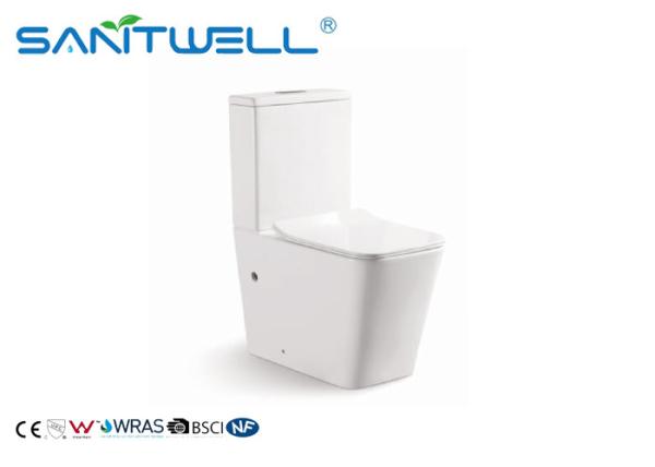 Rimless Toilet  Ceramic Back to Wall Wash Down P Trap Bathroom Bowl With Soft Close Seat Close Coupled Toilets