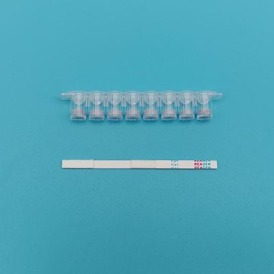 Plastic Kanamycin Strip Test Kit High Sensitive White With Instant Results