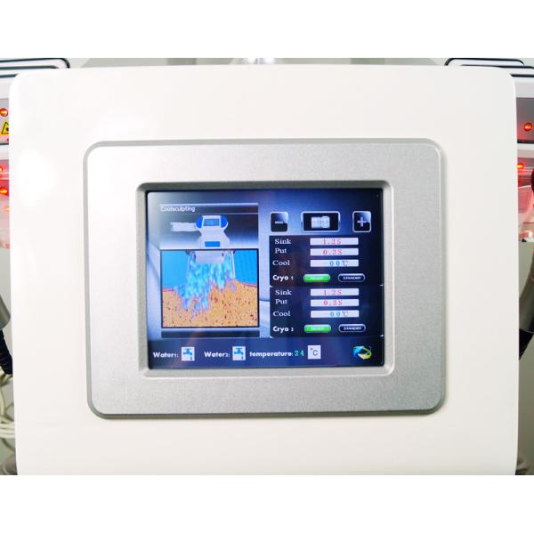 Cellulite Lipo Fat Freezing Cryolipolysis Machine RF 1000W For Salon