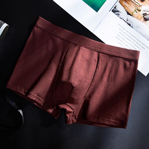 3D Seamless Mens Boxer Shorts Mid-Waist L-3XL Breathable Boxer Briefs